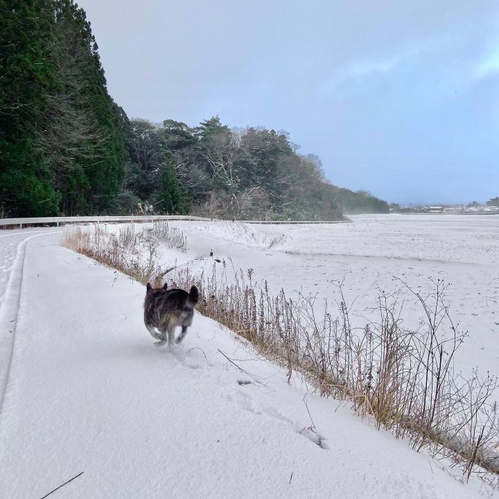 A2bbd306 60d0 4be5 abf8 8f849bb2119d 1640565038989