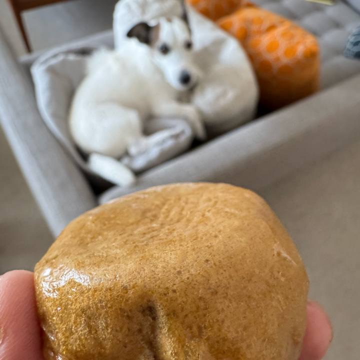 A2bbdb2c 3a36 499b 999a 89425506a706 1763979374380