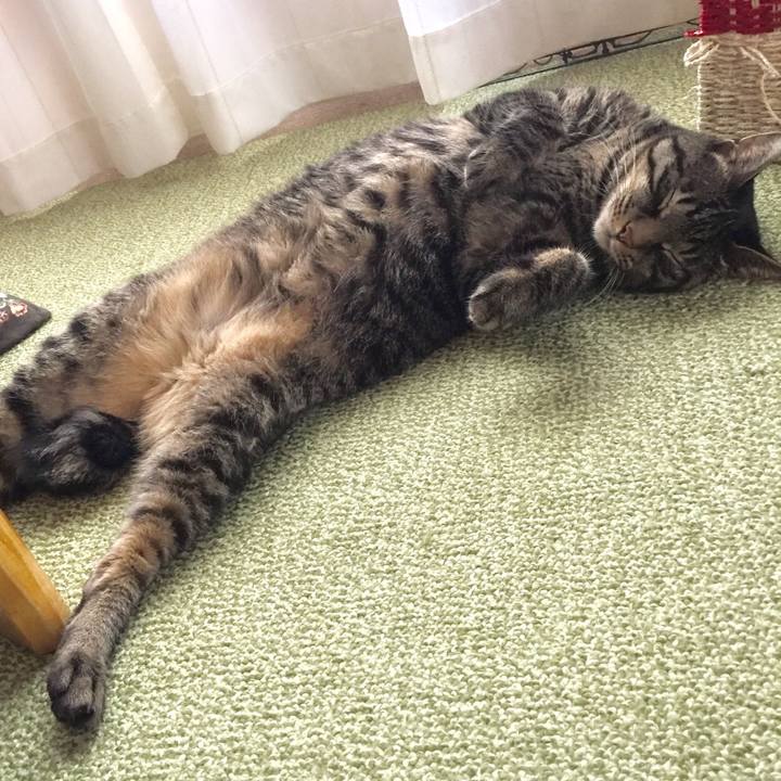 A2bbe5ce 1620 4d9e bc1f 146ca9fe8f80 1540359466559