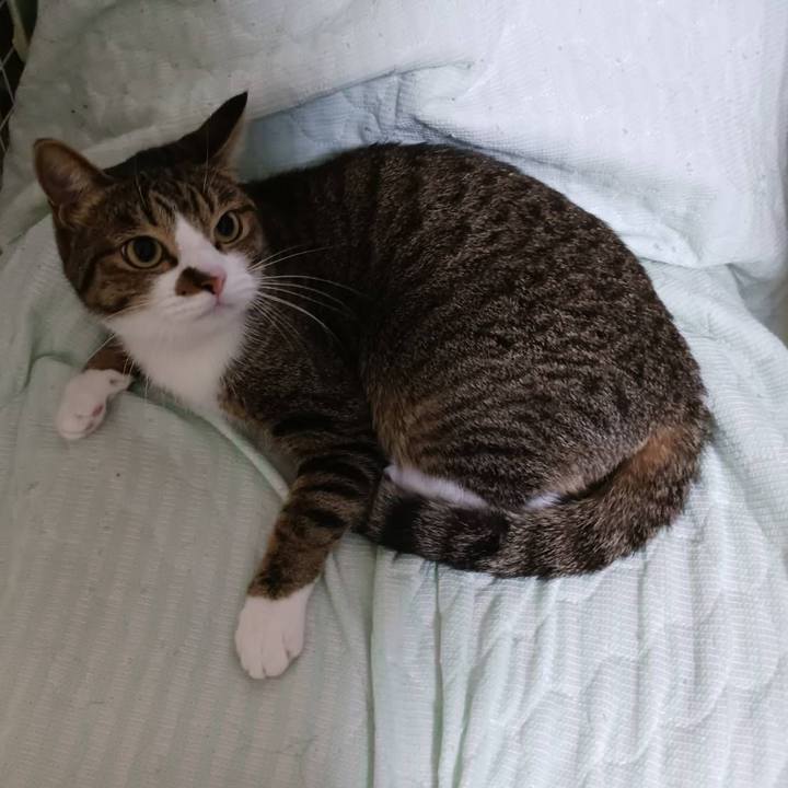 A2bbf20a f435 4025 bbb7 0fb3c7c0a7b2 1764978838864