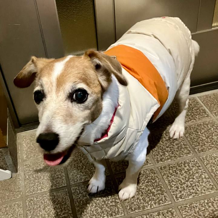 A2bbfbb0 8a5b 4df0 b0f5 418024d8a4d1 1700485794466