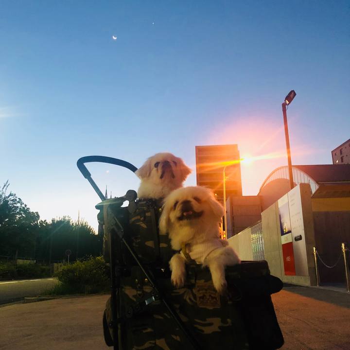 A2bc4df6 e06d 45ca bee2 c56cf3a9fc95 1597525608303