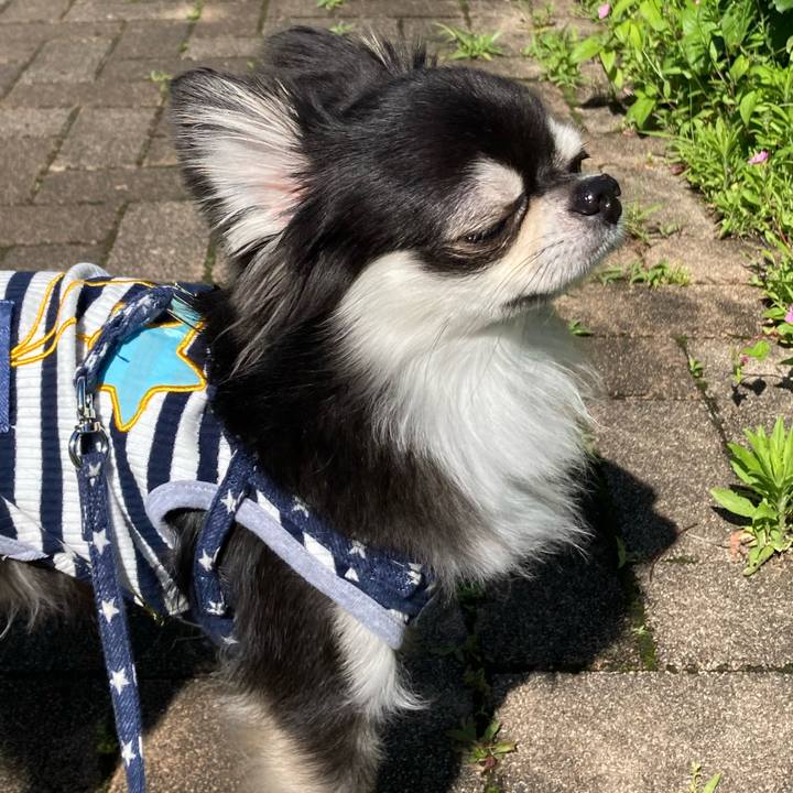 A2bc6bc2 3427 4e5d a83d aadd671deccc 1653745262415