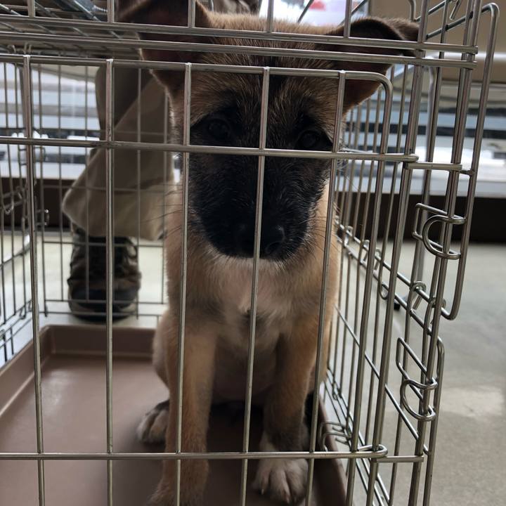 A2bc7278 fad9 4fa6 ab3d 9595f5b30152 1565485429555