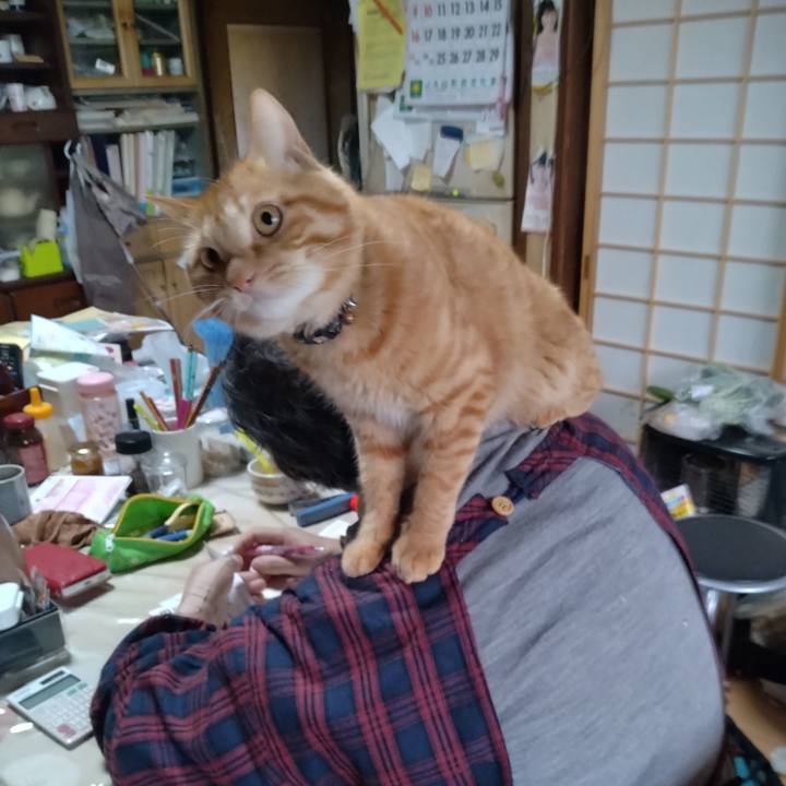 A2bc77eb 25ab 429d 97b8 402ab5f621ec 1664950723060