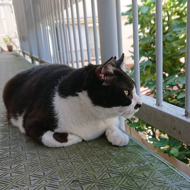 A2bc8601 d7aa 44e3 abcf 1b8192935d47 1538799586363