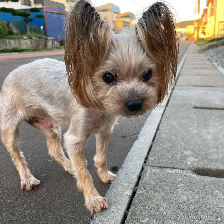 A2bc87a6 cf1c 43ec 92bb d3600d40d1e7 1660730001625