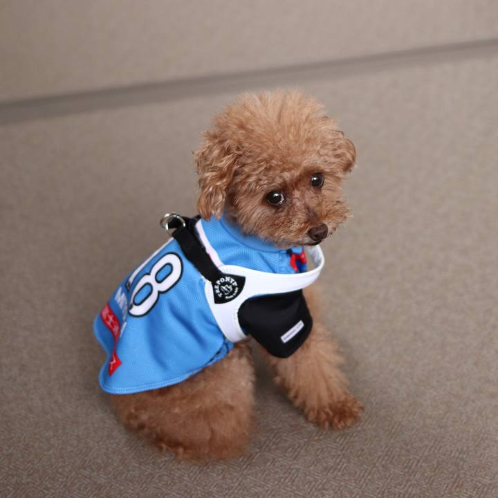 A2bc8901 001a 4660 88d1 045c4d198b7c 1593871313083