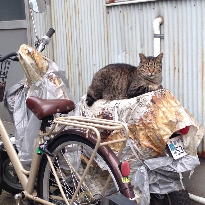 A2bc93e3 5727 421f a4bb 455f28ae6234 1507821931428