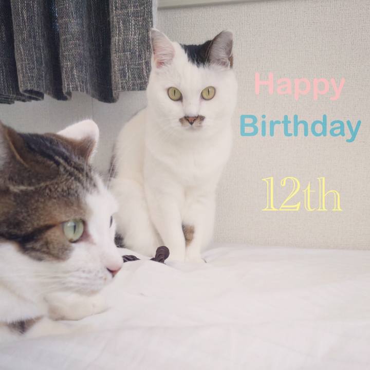 A2bca4be 7143 4d75 a473 2374a5710881 1598931592346