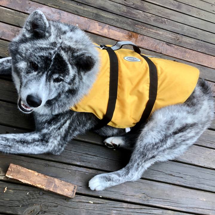 A2bca5bd 7b07 48eb 951a 7a0b2057eaa6 1592554489816