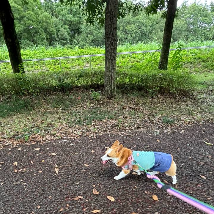 A2bcb117 26a5 4c65 835d 457b0943f888 1757819734850