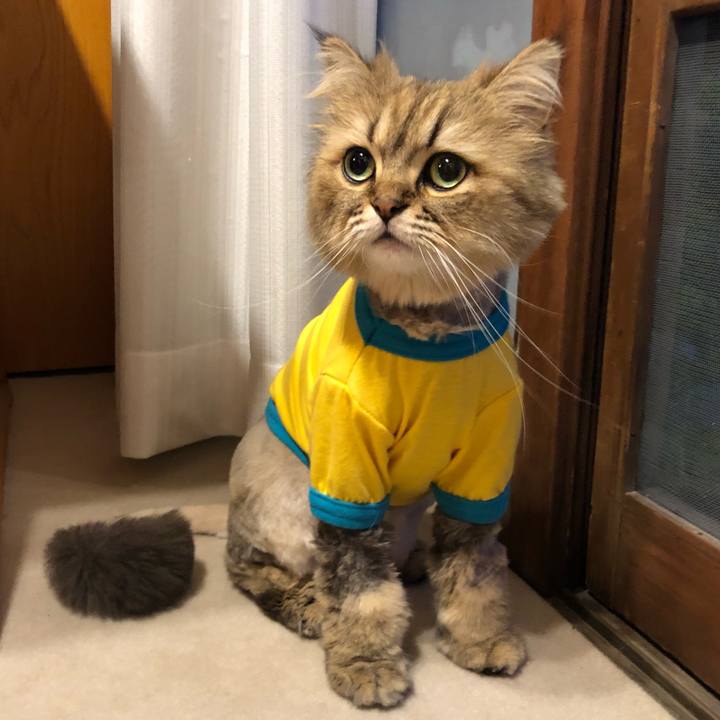 A2bd007a 27bd 4406 96d9 27ab1de492f2 1559730367180