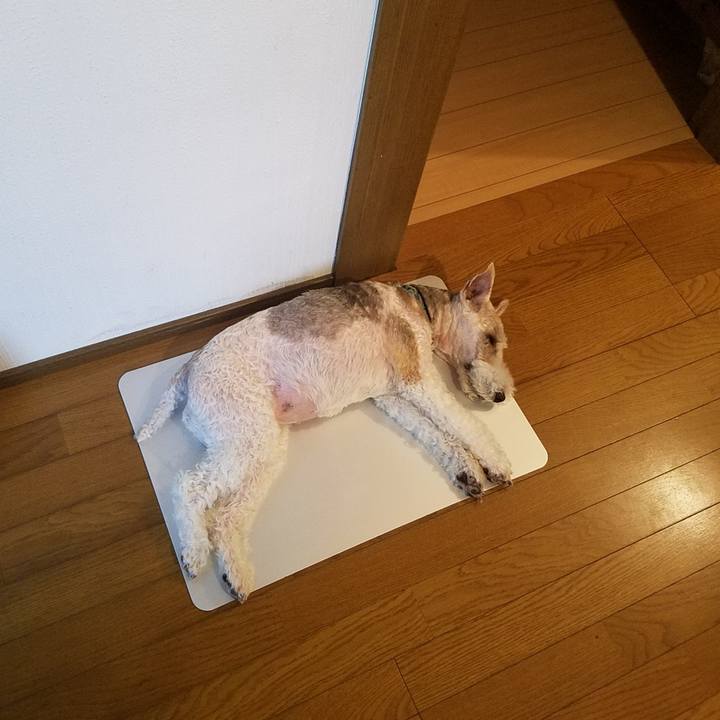 A2bd0224 6499 4172 96fb a8e8a4b7d837 1565856083312