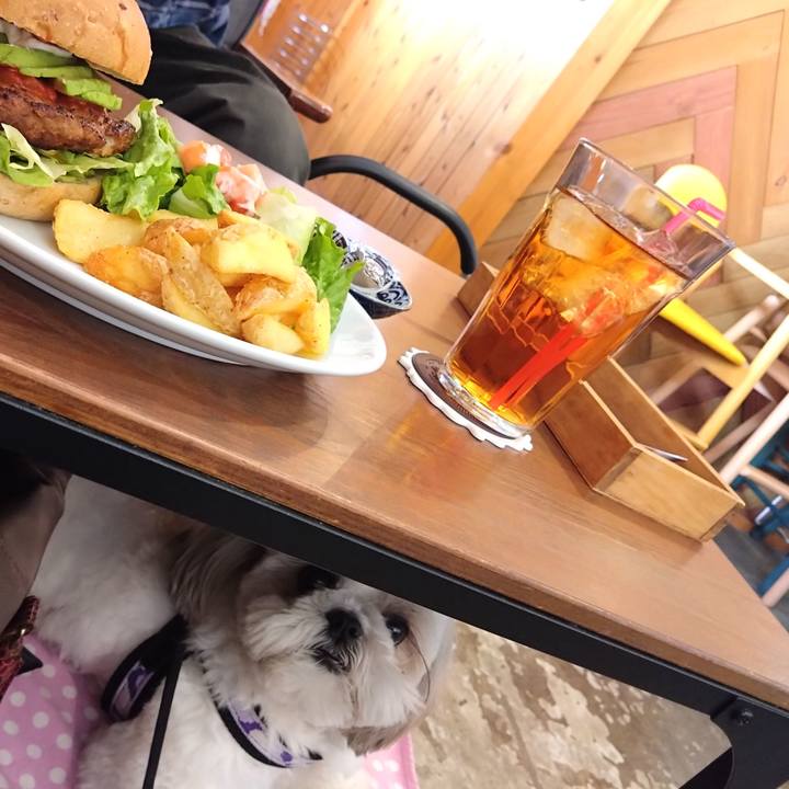 A2bd1dc9 29d6 440e 9e5e f92d06ef9101 1679922823113