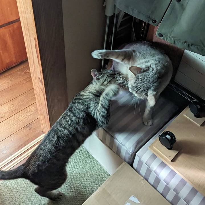 A2bd22ba 074c 4908 a404 249536ce7b1c 1712895775200