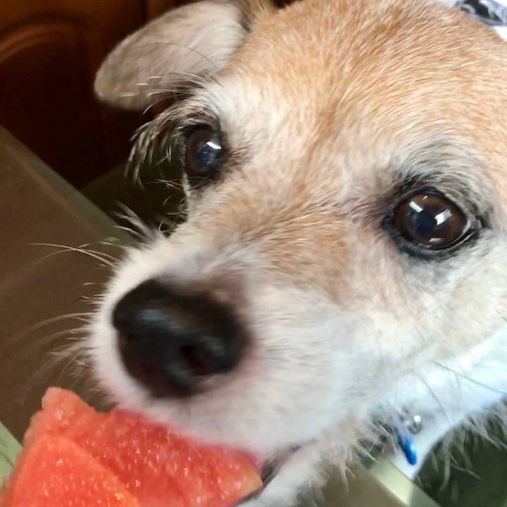 A2bd312c 3bb4 4571 823e b1eb6a5ea3d7 1661337005244