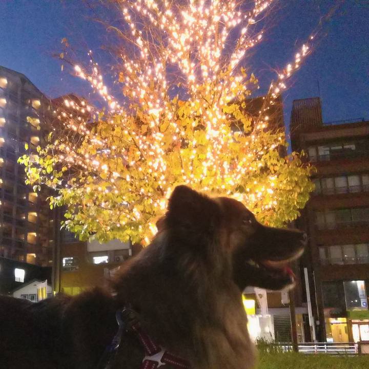 A2bd9cd6 769d 459d a95b 33f8eea934f3 1760093516915