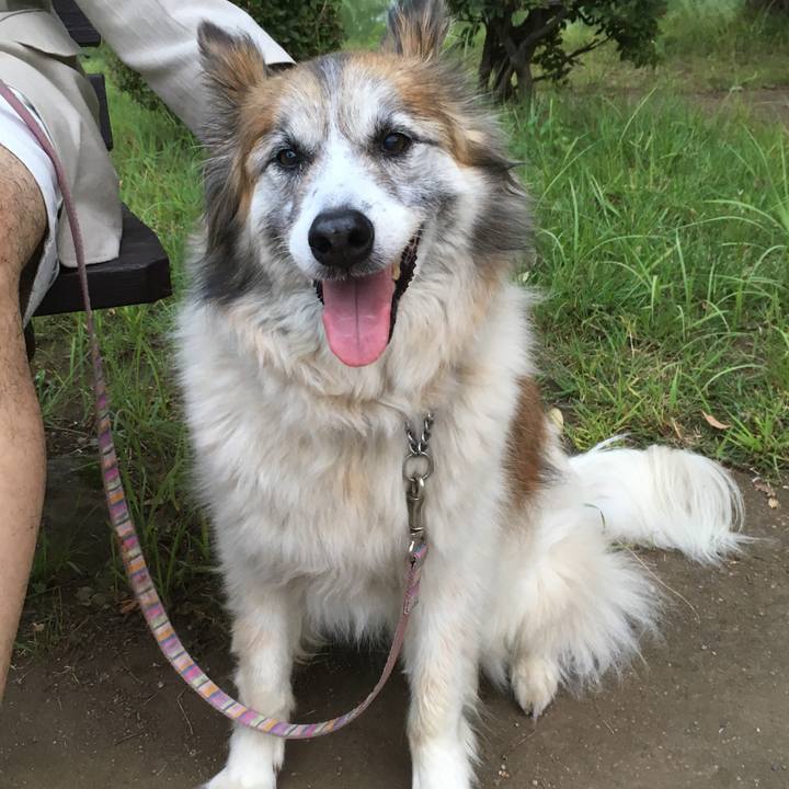 A2bda84c 72ea 4311 b214 672d8d2a772c 1591239088701