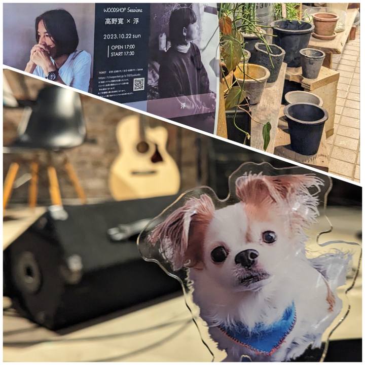 A2bde19f 3bc9 4518 82d7 ae5400bb8944 1698031755256