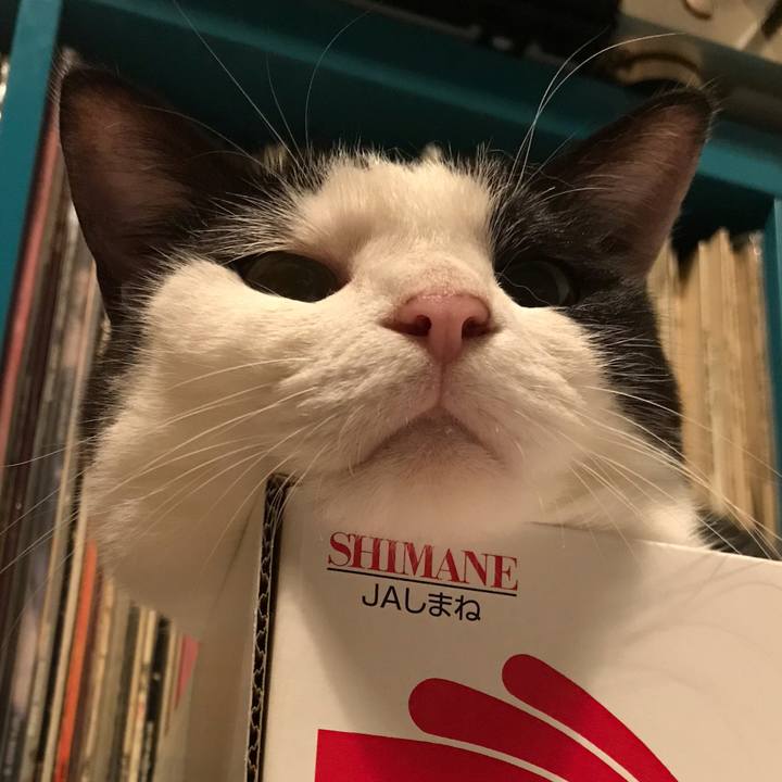 A2be0154 cb76 4aec 9ee5 fdfefd544b0a 1570187858105