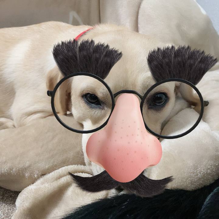 A2be0165 4b8f 4166 bb7e c0d55960bbb3 1613201761189