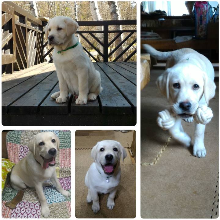 A2be7f4b f707 4f5c b665 dea4fb9ebc9c 1549852698065