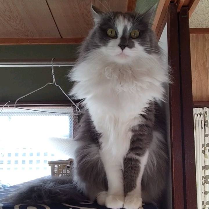 A2be978b 5228 443c 942c eb2cbd445387 1645081130979