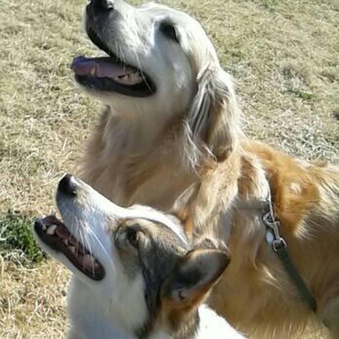 A2be9eca 0599 44cb a8f9 f7c646ed520b 1521099466164