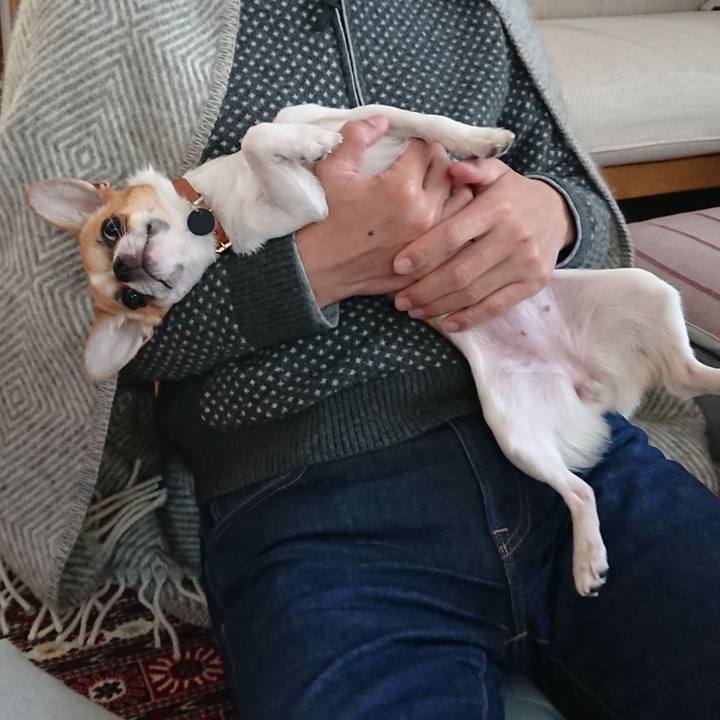 A2bee56b 51d0 4d4d b668 a8c2dfb7e198 1547948687008