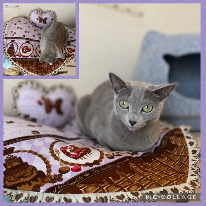 A2beecf3 661f 46a6 bb1a fc335ac27be6 1676115522137