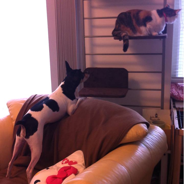 A2bef861 1ad4 48f7 97b5 d09d40ae5ee2 1527157465209