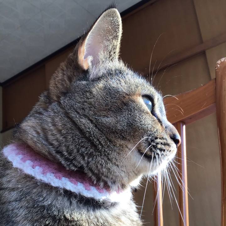 A2bf24d7 33e1 4055 8e1f 84883588679a 1667004216122