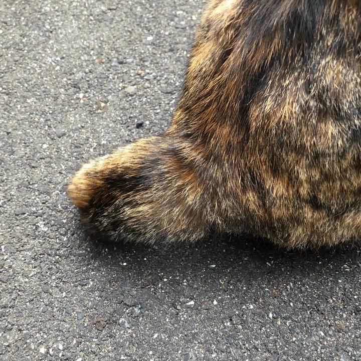 A2bf35f9 d54a 432d 89a5 f68fe4cbe5fb 1524067667369