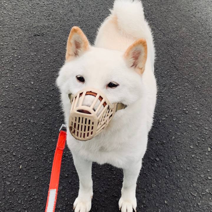 A2bf4a1f 1512 4ee6 81f5 51530c48da87 1564617245324