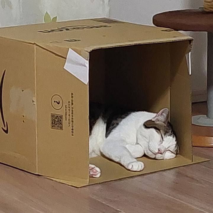 A2bf4fe7 8fa7 44f0 b611 e4c203ed0315 1763464492523