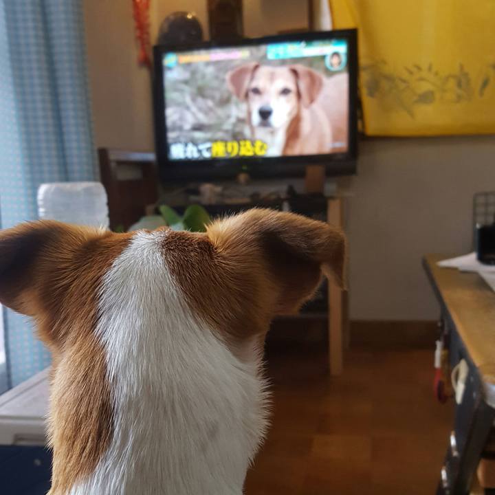 A2bfa964 572c 483e bf57 6cbad7e833a0 1555230671424