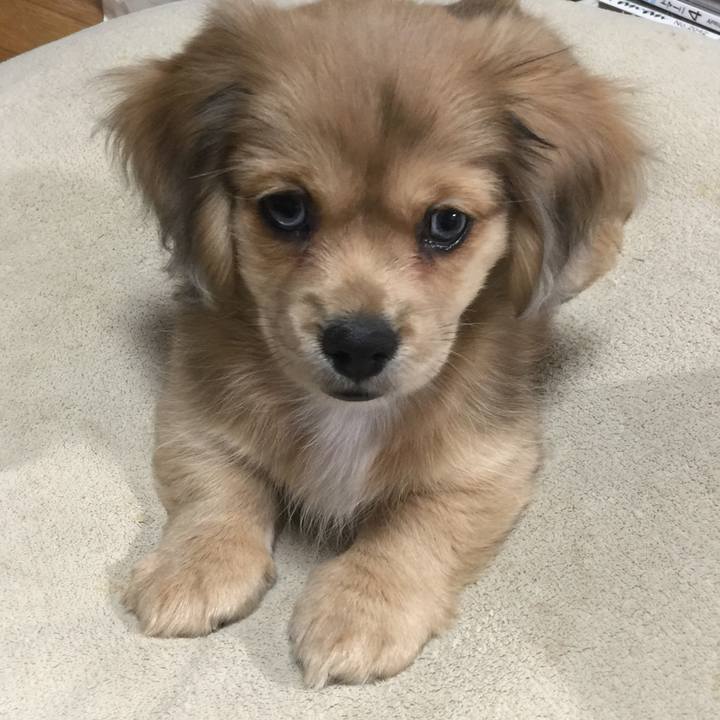 A2bfcb7f cf57 4d3c a9d4 5cd5b20fec5a 1634074665727