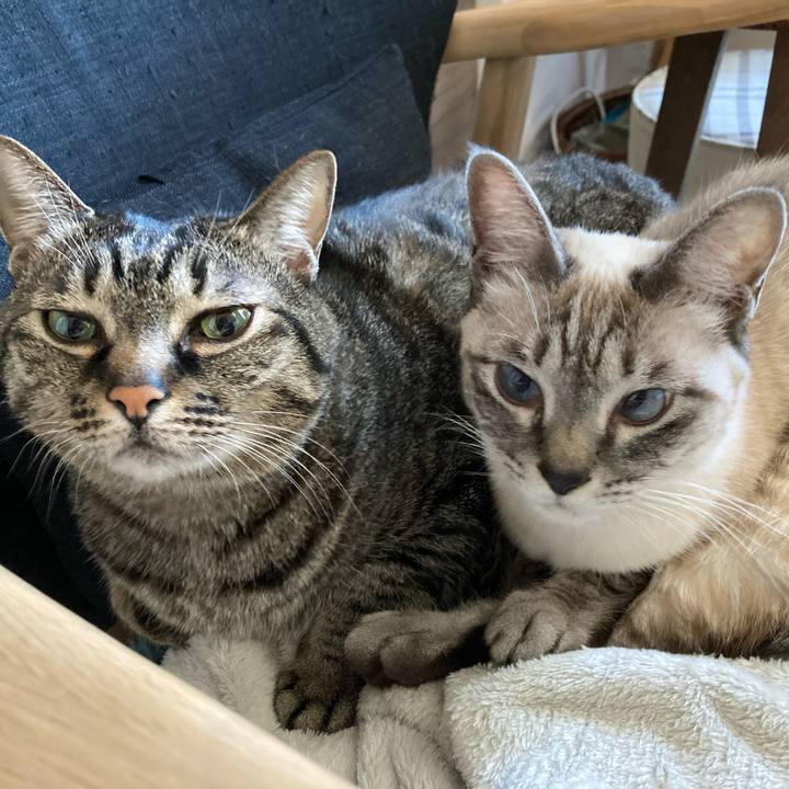 A2bff4f3 1c0b 4395 97d6 de3bcdd402e2 1609560933888