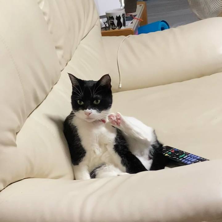 A2c026b3 0f52 473e be1d 7ed08050ae11 1661435183891