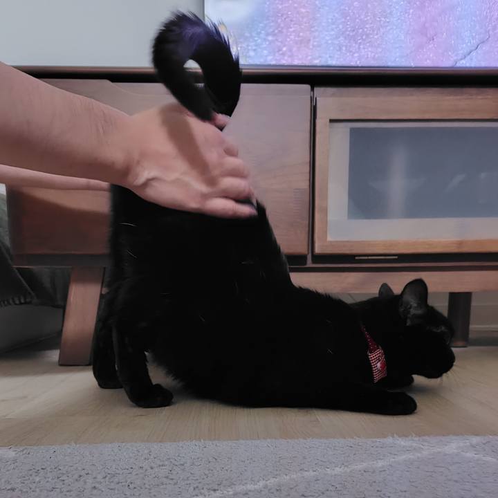 A2c0293f 1c15 413a 9373 f4096c2b86c5 1727009295587