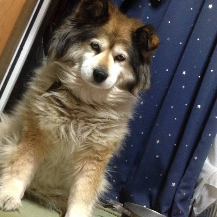 A2c05600 af95 4ad4 9830 0151b476c54e 1609547627107