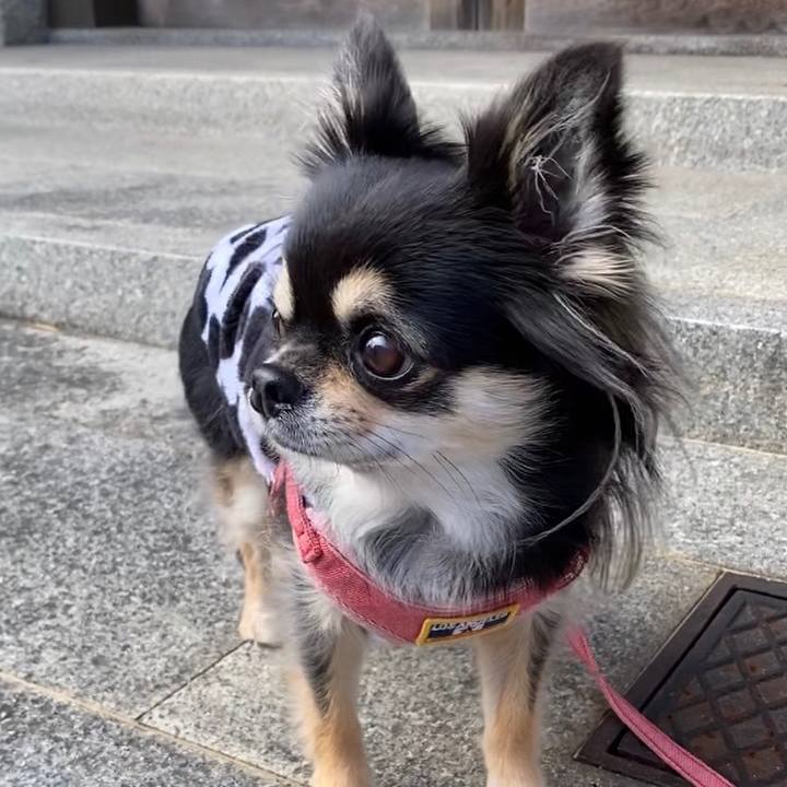 A2c05706 908c 4c2a aabb 62e0b609e6d1 1605050415012