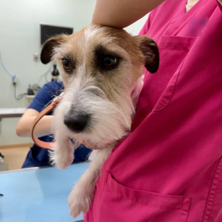 A2c0658f 61c7 4d01 82d1 5148b21e6e53 1682935196066