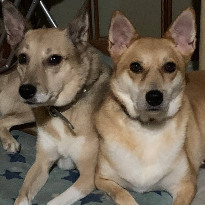 A2c0826d afd5 40aa b093 36f5a196b792 1598160474722