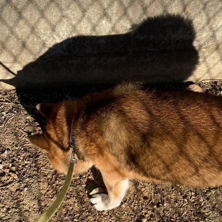 A2c08674 0318 43d4 b130 0fc5709cbcf2 1697929941378