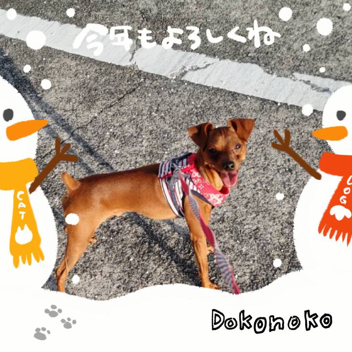 A2c092b9 2507 4615 9cb9 691660013fdc 1704339191718