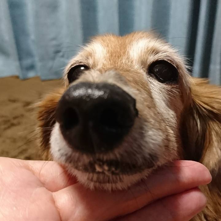 A2c0c84e c6ad 4de2 a6d7 37ce2758ea97 1510567377393