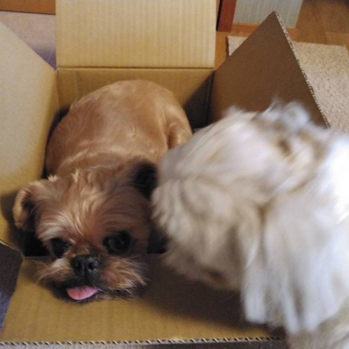 A2c0d3f8 8602 4d3b a9c8 5aa41780f1b9 1633340118807