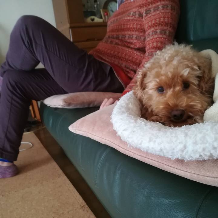 A2c147d6 c7cb 45fd bb51 bb1c48114fa8 1548464187262